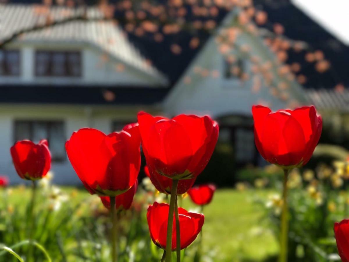 Landhaus Haack Tumlauer Koog Bagian luar foto