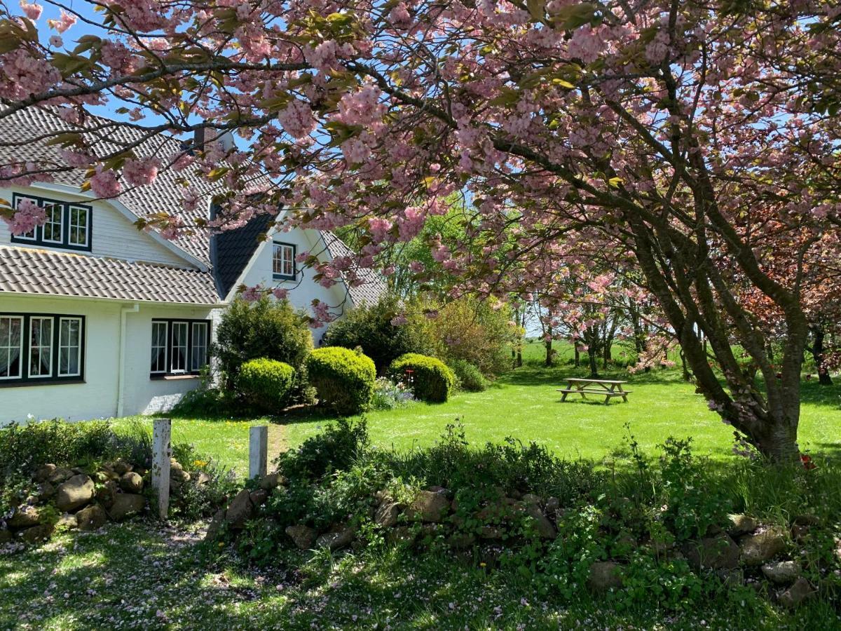 Landhaus Haack Tumlauer Koog Bagian luar foto