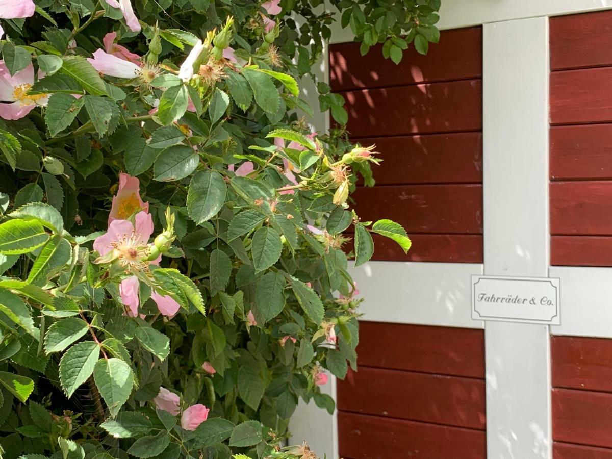 Landhaus Haack Tumlauer Koog Bagian luar foto